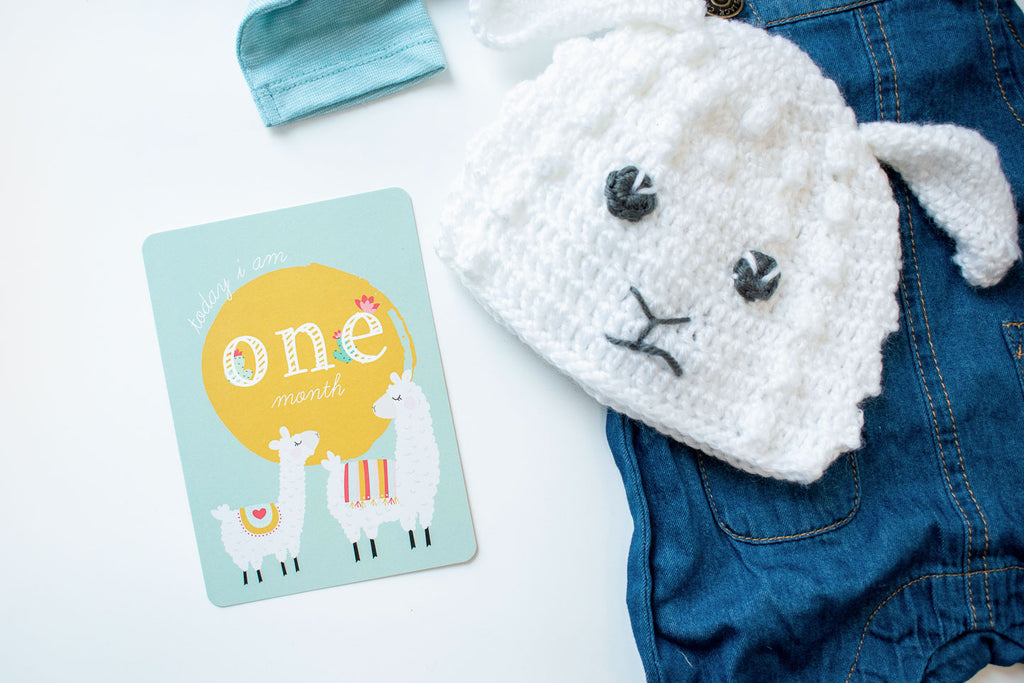 Baby Milestone Cards: Llama (discontinued)